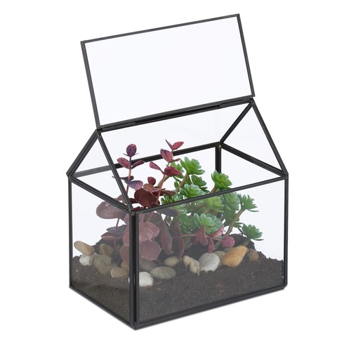 Terrarium ecosysteme - ecosysteme,