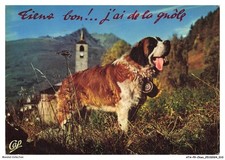 ATAP9-0633-CHIEN - St-bernard