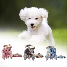 Harnais et laisse pour chat