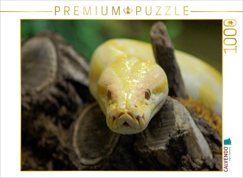 Calvendo puzzle albino - puzzle, python