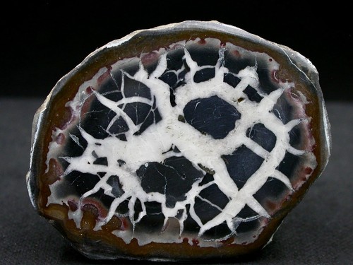 Septaria maroc 2 - 5,2, cm
