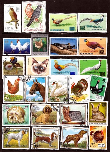 Tous pays animaux de - ,