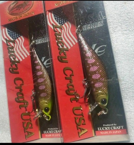 Pointer 50s winterstream - 50s, perch