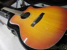 Guitare acoustique électrique