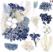 Bouquet de Fleurs Séchées Naturelles Vraies Fleurs Pressées Décoration pour Bri