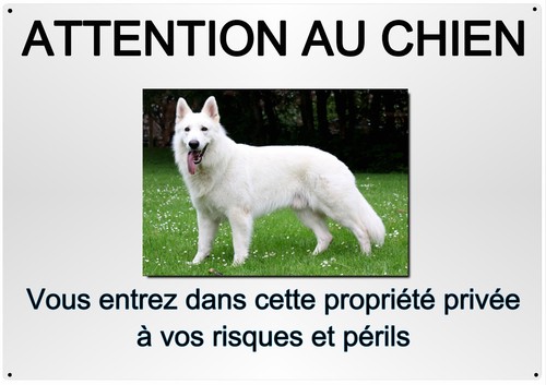 Plaque chien berger blanc - plaque,