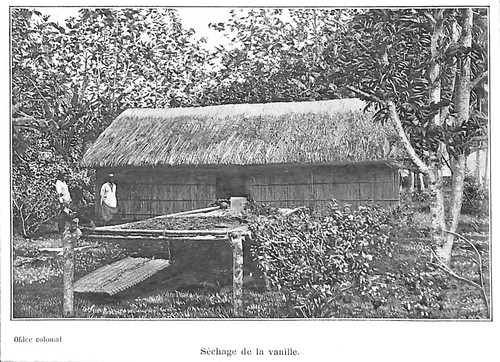 Tahiti séchage de la - tahiti,