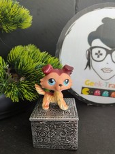 Littlest Petshop LPS Pet Shop Chien Dog Border Colley 58 Bis Collie Rare Brown