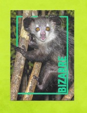 Carte incroyable animaux du