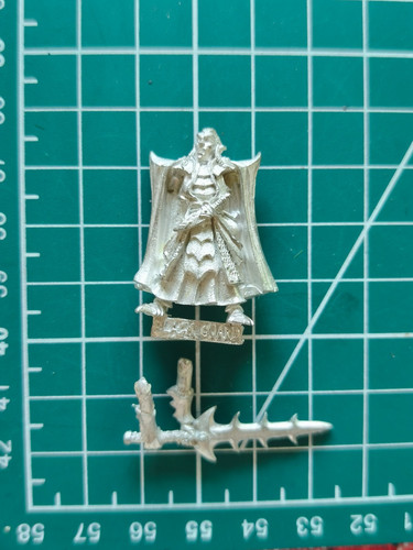 Warhammer champion garde - warhammer,