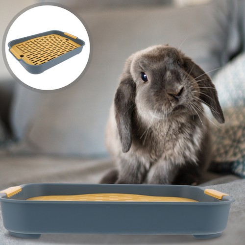 Indoor bunny toilet - bunny, rabbit