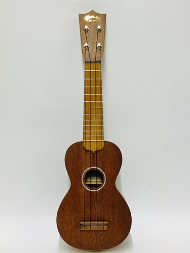 Martin guitar - martin,