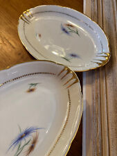 Magnifiques duo de raviers en