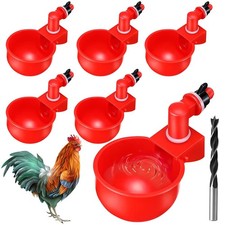 Gobelets à Eau de Poulet