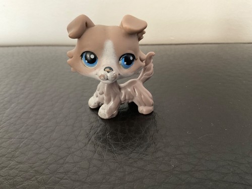 Littlest petshop chien - littlest, colley
