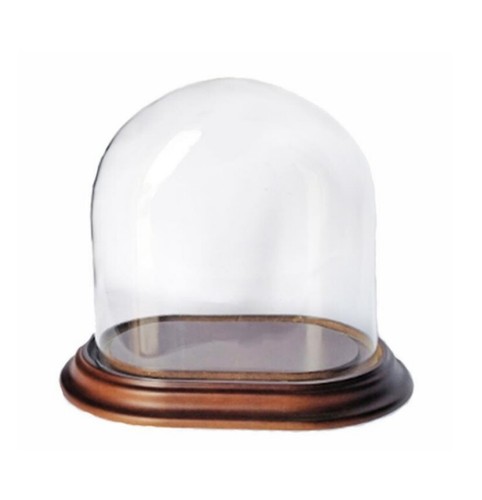 Cloche verre ovale avec - verre,