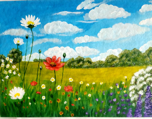 Paysage rural été avec des - rural,