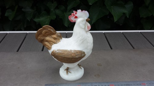 Gros ancien coq opaline - ancien, en