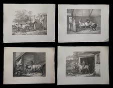 [EQUITATION CHEVAL CHEVAUX] VERNET (Carle) - Suite de 4 eaux-fortes.