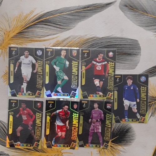 Panini lot cartes adrenalyn - panini,