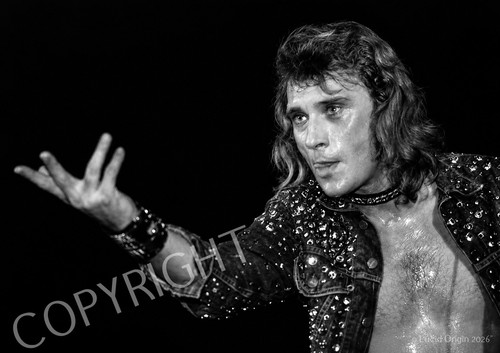 Photo johnny hallyday geste - a4,