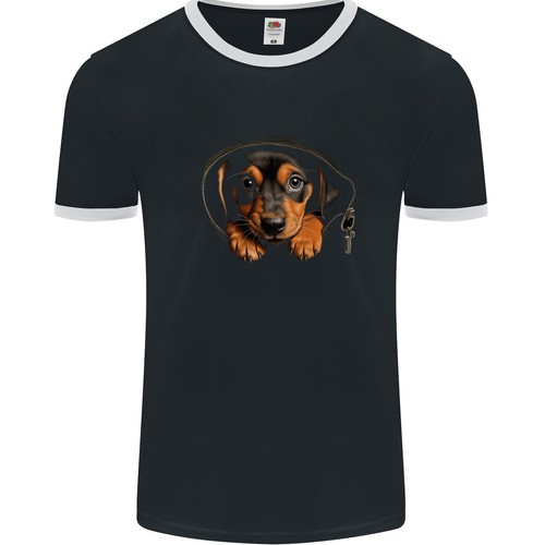 Chiot teckel dans un - un,