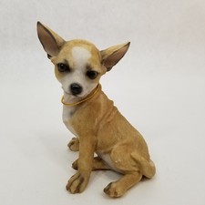 chihuahua sitting on hind legs