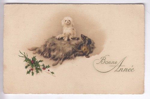 Cpa animal fantaisie chien - -,