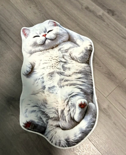 Tapis forme chat 2d - de,