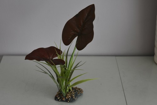 Terrarium vivarium large - terrarium,