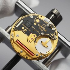 Véritable mouvement homme