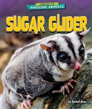 Rachel Rose Sugar Glider