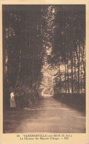 Varengeville sur mer chemin - 76,