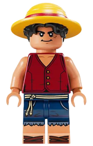 Lego one piece monkey - piece,