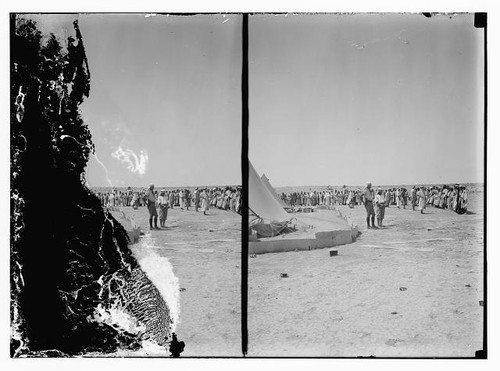 Photo locust plague camp - photo:locust,