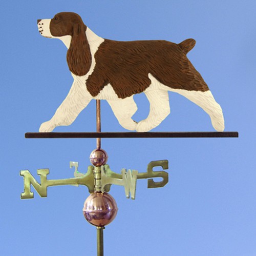 Anglais springer spaniel main - springer,