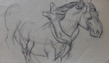 Pierre Henri Vaillant (1878-1939) (14) - crayon - Cheval