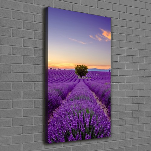 Tulup tableau sur toile - tulup,