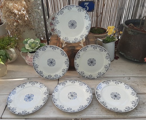 Assiettes plates - 6,