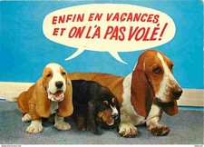 Carte Postale - Animaux -