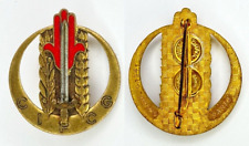 INSIGNE CIPCG CENTRE INSTRUCTION PACIFICATION CONTRE-GUERILLA - DRAGO PARIS 1341