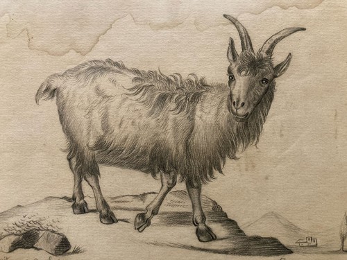 Dessin 1880 xixe crayon chat - 1880,