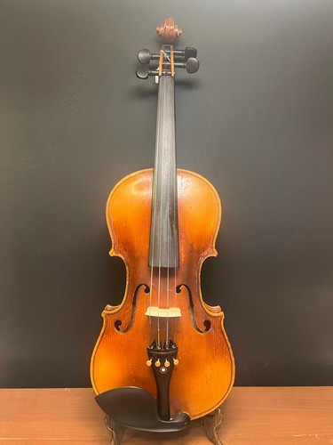Violin over 100 - violin,