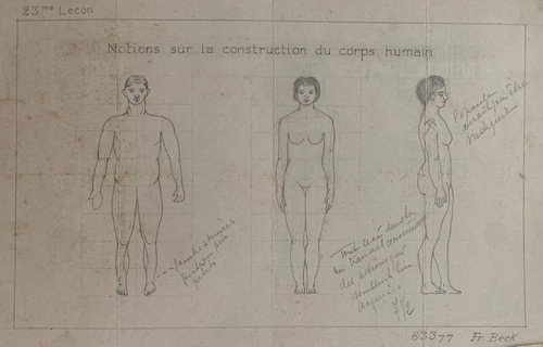Rare planche dessin corps - planche,