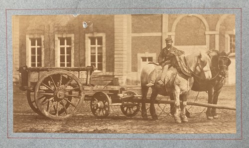 Attelage chevaux dans une - attelage,