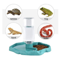 Distributeur d'eau pour Reptile Abreuvoir Tortue Mangeoire pour Reptiles