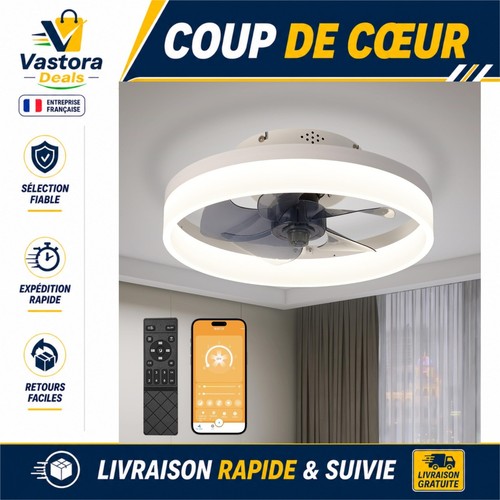 Ventilateur plafond - ventilateur,