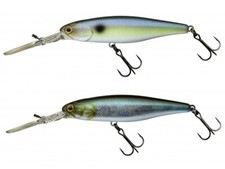 Illex super squirrel sp - illex,