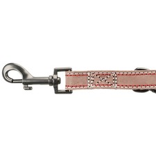Laisse 20 mm x  2 M  en cuir