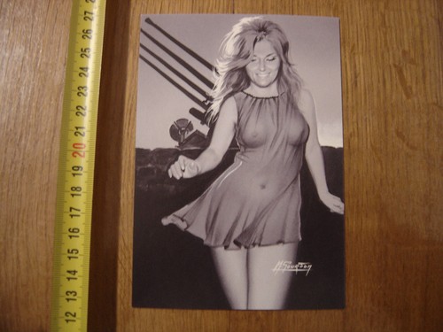 Carte postale postcard - carte,